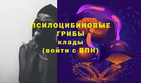 соль ск Горнозаводск
