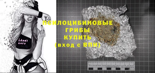 соль ск Горнозаводск