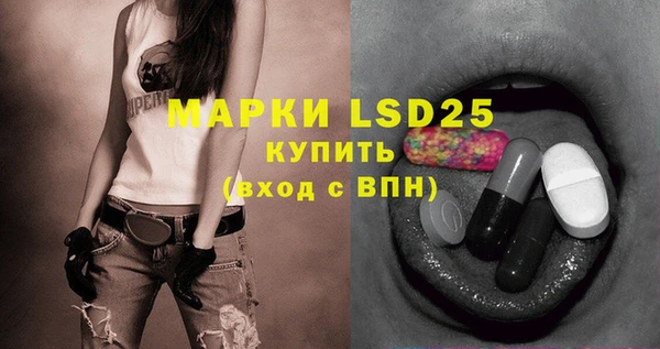 МДПВ Вяземский