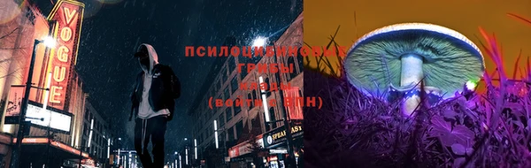гашик Волоколамск