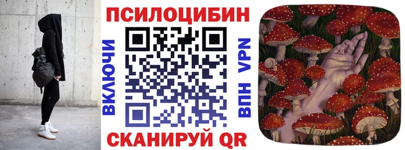 Псилоцибиновые грибы мицелий  купить закладку  Заречный 